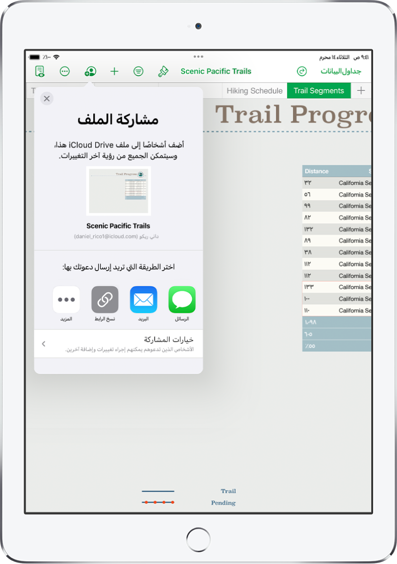 شاشة إضافة أشخاص تعرض صورة لجدول البيانات المراد مشاركته. أسفله توجد أزرار لطرق إرسال الدعوة، بما فيها البريد ونسخ الرابط والمزيد. في الأسفل يوجد زر خيارات المشاركة.