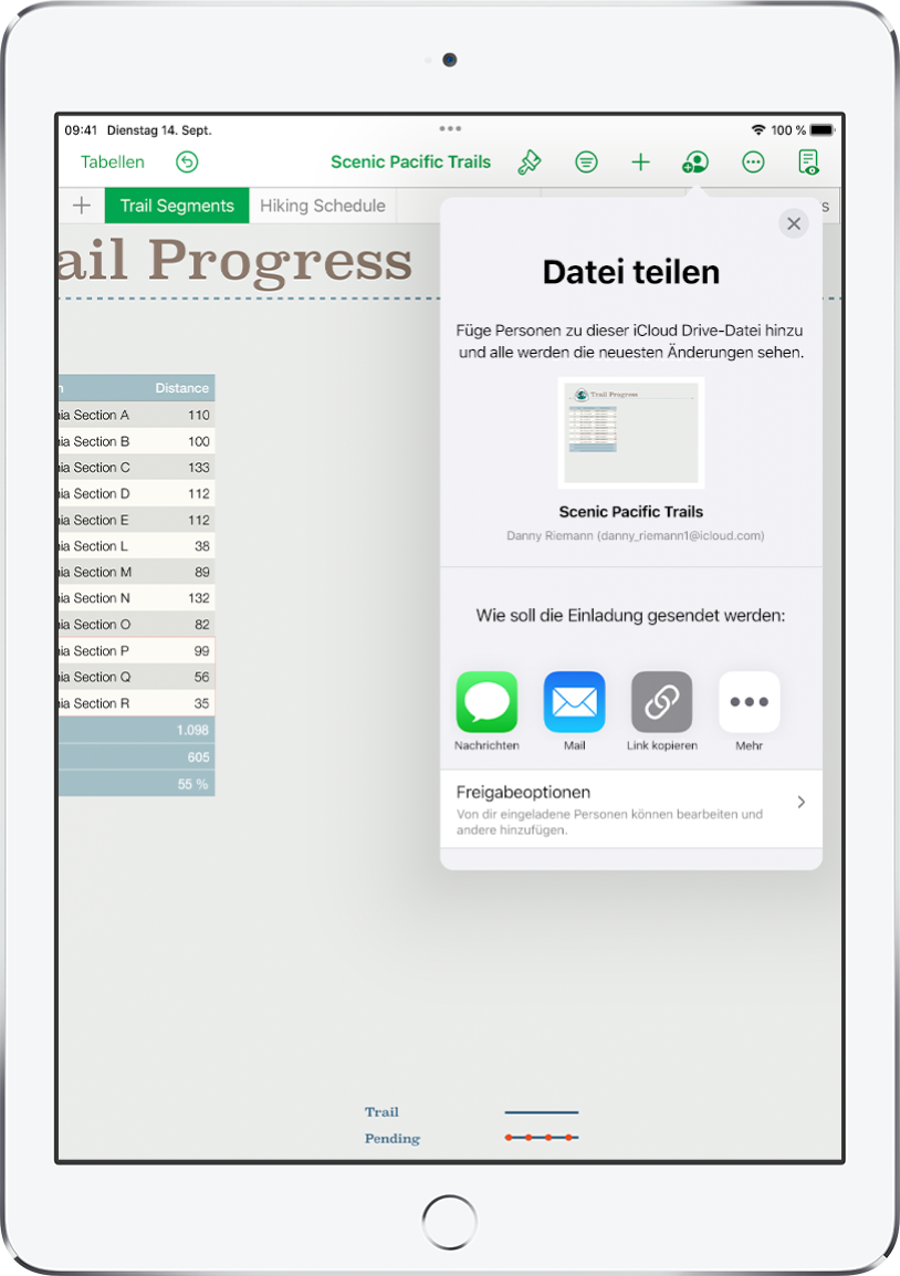 Im Bildschirm „Personen hinzufügen“ wird ein Bild der Tabellenkalkulation angezeigt, die geteilt werden soll. Darunter befinden sich Tasten für die Optionen zum Senden der Einladung, inkl. Mail, „Link kopieren“ und mehr. Unten im Bildschirm ist die Taste „Freigabeoptionen“.