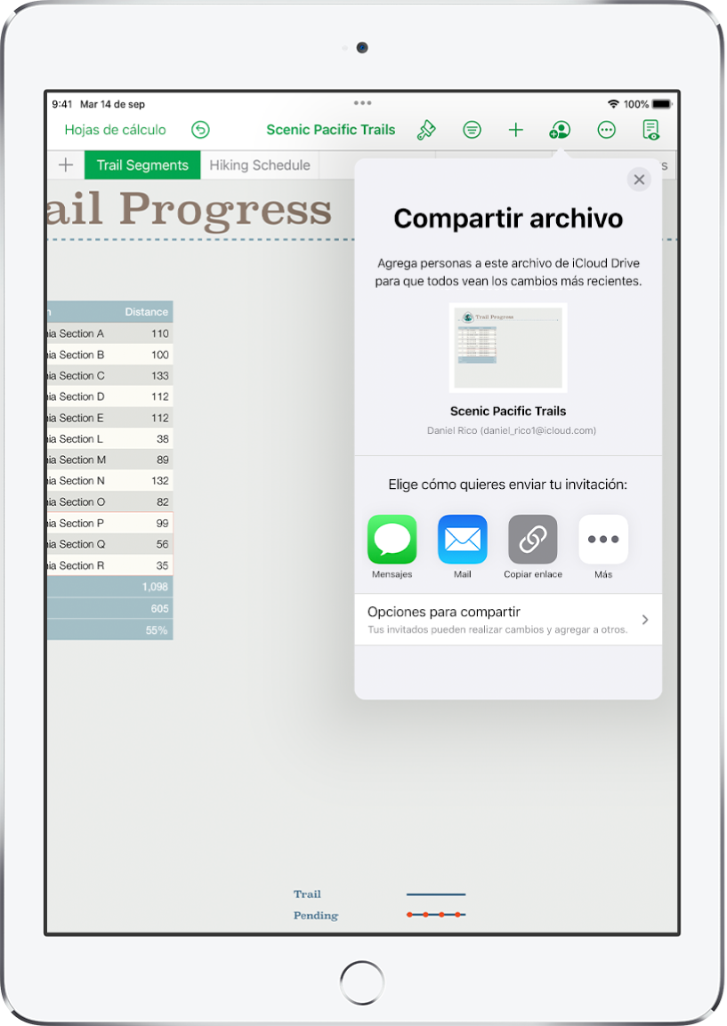 La pantalla “Agregar personas” mostrando una imagen de la hoja de cálculo que se va a compartir. Debajo hay botones con las maneras en que se puede enviar la invitación; incluyendo Correo, “Copiar enlace” y más. En la parte inferior se encuentra el botón Opciones para compartir.