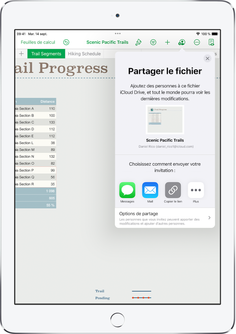 L’écran Ajouter affichant une image de la feuille de calcul à partager. En dessous se trouvent des boutons permettant d’envoyer l’invitation de diverses façons, notamment les boutons Mail, Copier le lien et Plus. Au bas se trouve le bouton Options de partage.