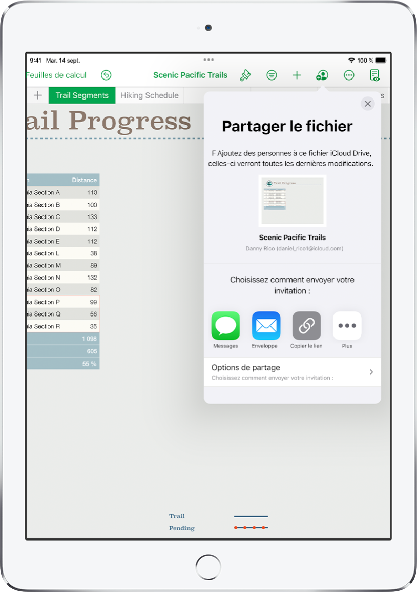 L’écran «&nbsp;Ajouter des personnes&nbsp;» avec l’image de la feuille de calcul à partager. On trouve en dessous les différents boutons pour envoyer l’invitation, y compris Mail, Copier le lien et Plus. Le bouton Options de partage se trouve en bas.