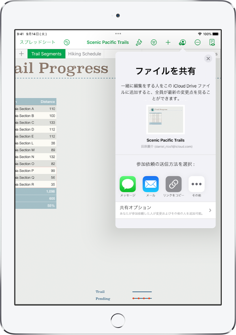 「人を追加」画面。共有されているスプレッドシートの写真が表示されています。その下には、メール、「リンクをコピー」、「詳細」など、参加依頼を送信する方法のボタンがあります。下部には「共有オプション」ボタンがあります。