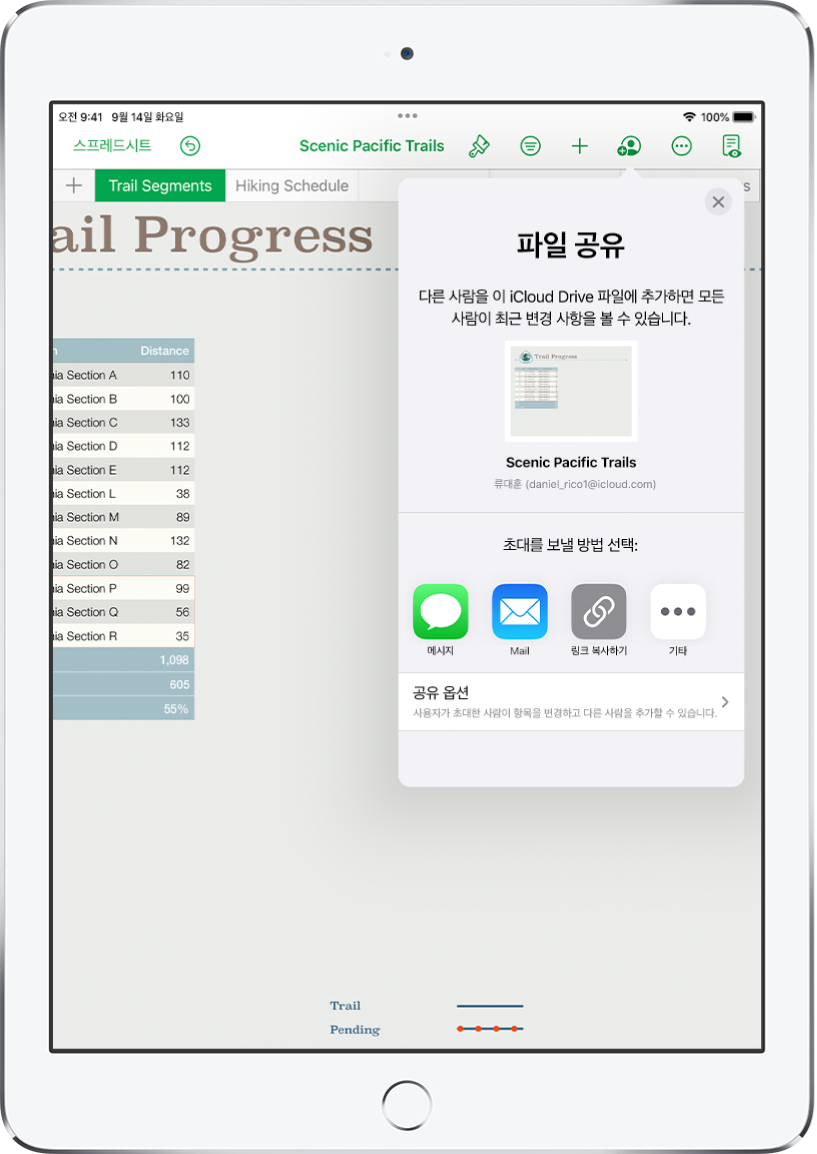공유할 스프레드시트의 그림이 표시된 구성원 추가 화면. 그 아래에는 Mail, 링크 복사 및 기타를 포함하여 초대를 보내는 방식에 대한 버튼이 있습니다. 하단에 공유 옵션 버튼이 있습니다.
