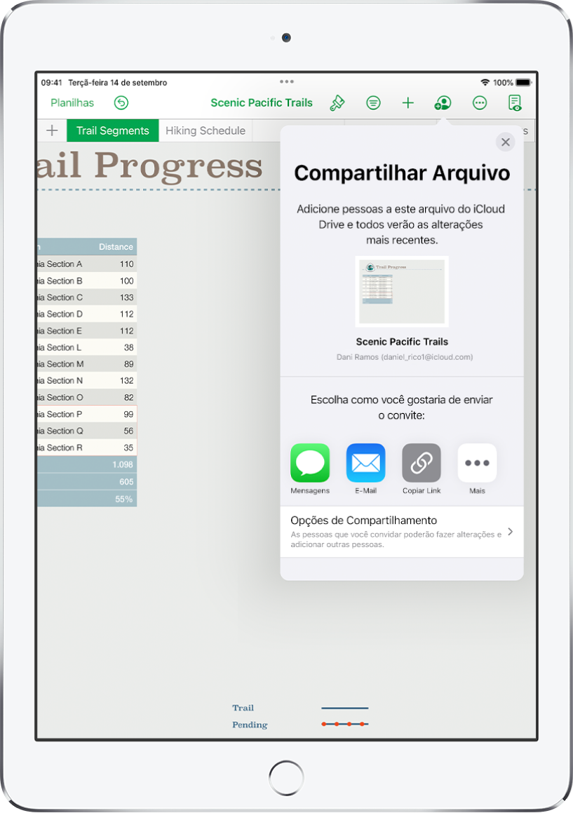 Tela Adicionar Pessoas mostrando uma imagem da planilha que será compartilhada. Abaixo disso, botões das formas de envio do convite, incluindo Mail, Copiar Link e Mais. Na parte inferior, o botão Opções de Compartilhamento.