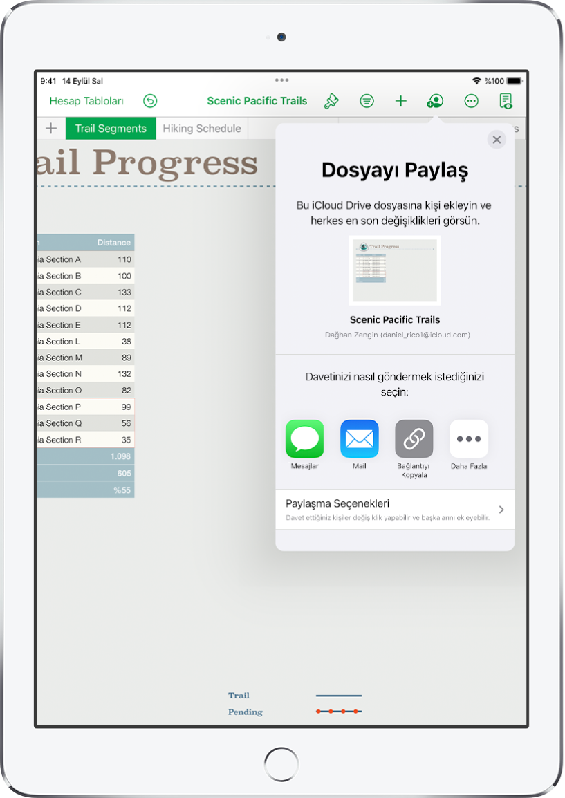 Kişi Ekle ekranı, paylaşılacak hesap tablosunun bir resmini gösteriyor. Onun altında Mail, Bağlantıyı Kopyala ve Diğer de dahil olmak üzere çeşitli davet gönderme yolları için düğmeler var. En altta Paylaşma Seçenekleri düğmesi bulunuyor.