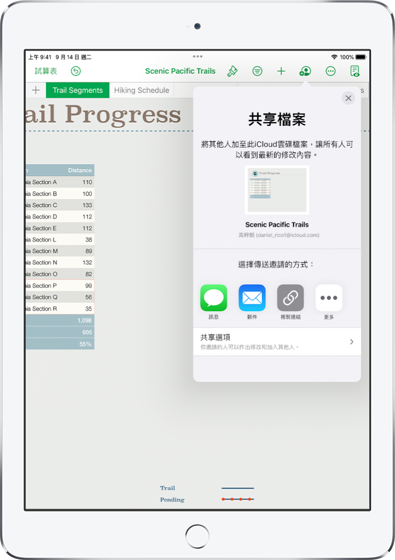 「加入成員」畫面顯示要共享試算表的圖片。其下方為傳送邀請的方式，包括「郵件」、「複製連結」等等。最下方是「分享選項」按鈕。