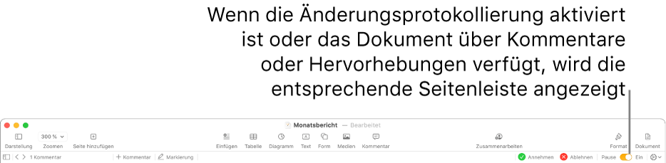 Die Pages-Symbolleiste mit aktiviertem Änderungsprotokoll und der Korrektur- und Prüfleiste darunter.