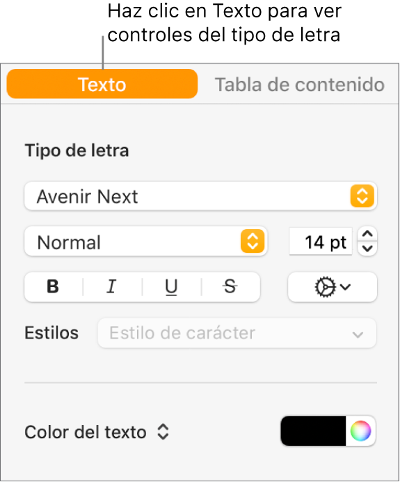 La barra lateral Formato con la pestaña Texto seleccionada y los controles de tipo letra para cambiar el tipo de letra, su tamaño y añadir estilos de carácter.