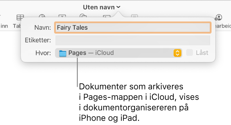 Arkiver-dialogruten for et dokument med Pages – iCloud i Hvor-lokalmenyen.