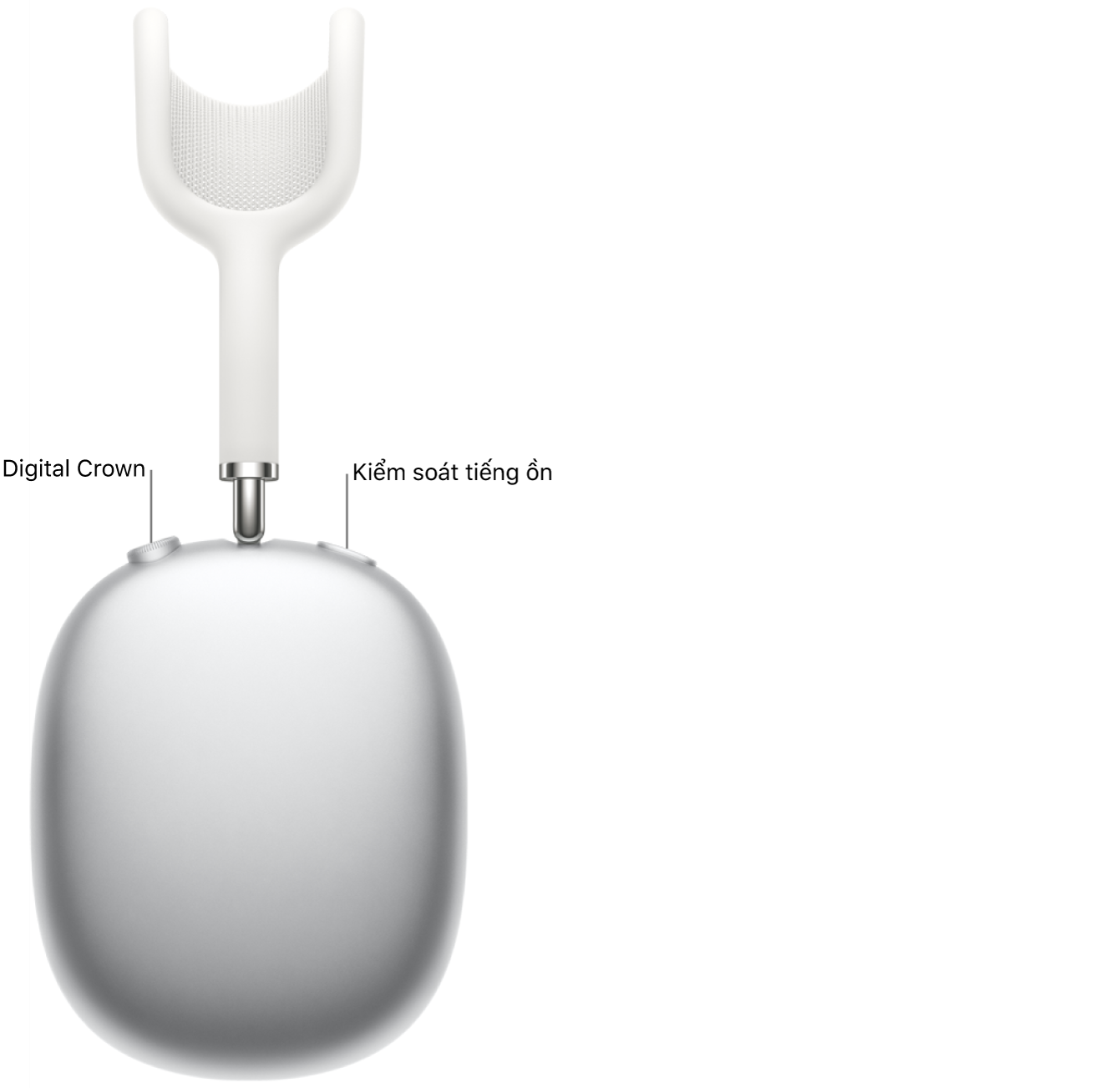 Tai nghe ở bên phải bên trên AirPods Max, đang được hiển thị Digital Crown phía trên nằm trong phía bên trái của tai nghe và nút trấn áp giờ đồng hồ ồn phía trên nằm trong ở bên phải.