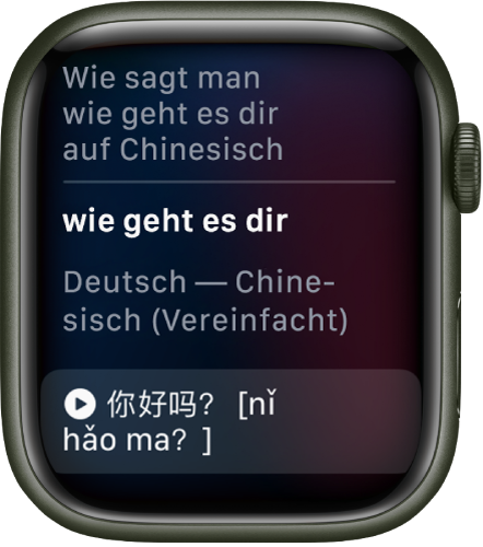 Verwenden von Siri auf der Apple Watch - Apple Support (DE)