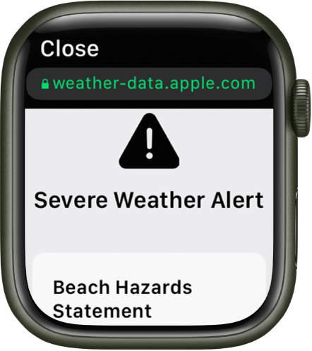 Check the weather on Apple Watch - Apple Support