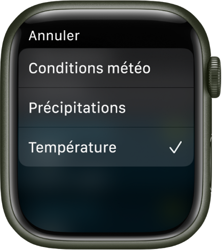L’app Météo affiche trois choix dans une liste : « Conditions météo », Précipitations et Température.
