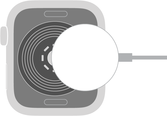 Het holle gedeelte van de connector van de magnetische Apple Watch-oplaadkabel klikt vast tegen de achterkant van de Apple Watch.