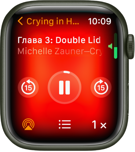 Воспроизведение аудиокниг на Apple Watch - Служба поддержки Apple (RU)