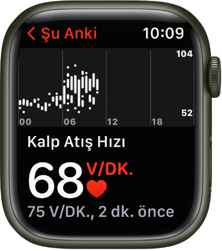 Sol altta güncel kalp atış hızınızı, onun altında daha küçük puntoda son değeri ve üstte kalıp atış hızınızın gün içerisindeki ayrıntılarını gösteren Kalp Atış Hızı uygulaması ekranı.