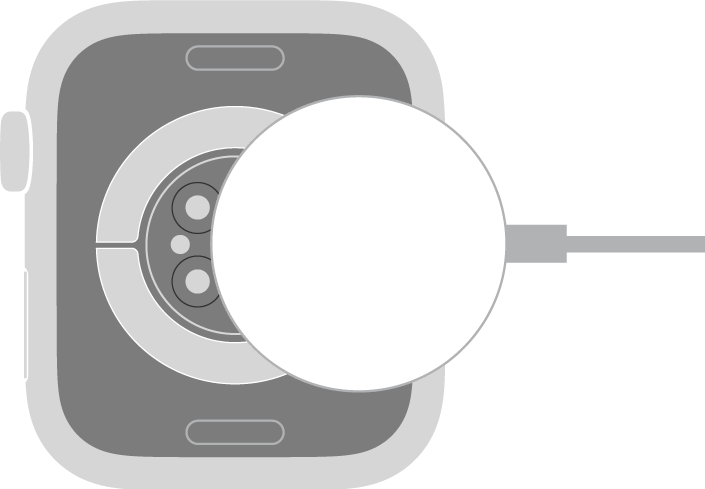 Bề mặt lõm của Cáp USB-C bộ sạc nhanh từ tính của Apple Watch gắn vào mặt sau của Apple Watch bằng nam châm.