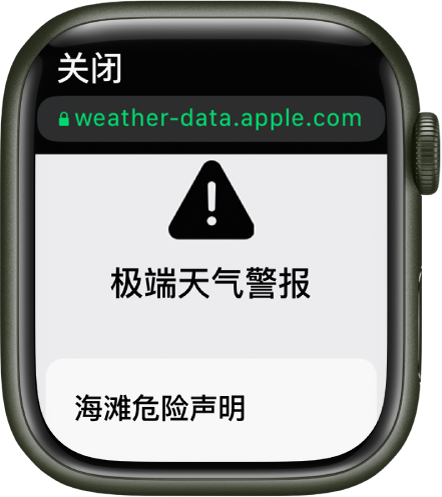 “天气” App 中有关海滩危险的天气提示。