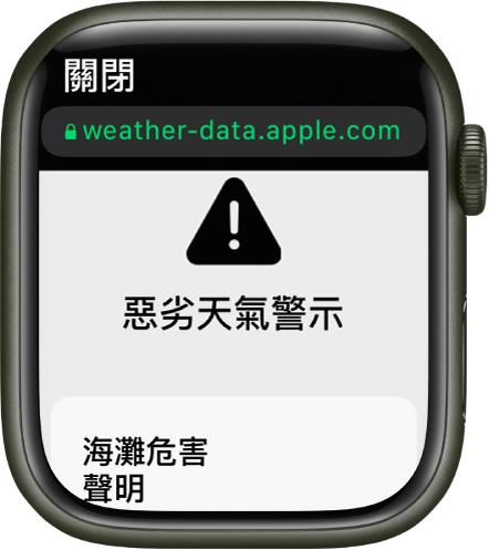 「天氣」App 中顯示關於海灘危險的天氣諮詢。