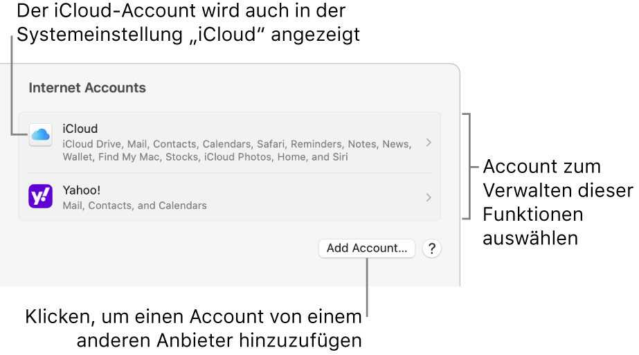Systemeinstellung „Internetaccounts“ mit einer Liste der Accounts, die auf dem Mac eingerichtet sind.