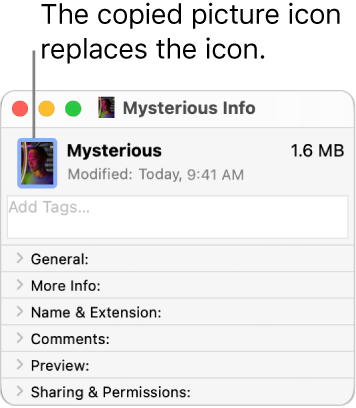 The Info window for the other folder, showing the generic icon replaced by a picture icon from the original folder.