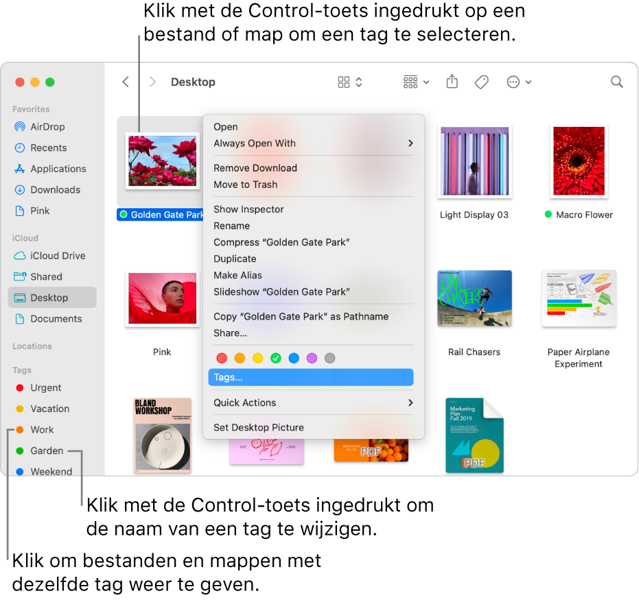 Een Finder-venster met bestanden en mappen met een tag; een bestand is geselecteerd. In het contextuele menu zijn er kleurkeuzes voor tags, en 'Tags' is gemarkeerd.