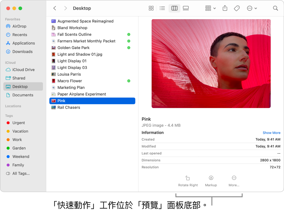 「預覽」面板底部，顯示「快速動作」按鈕。