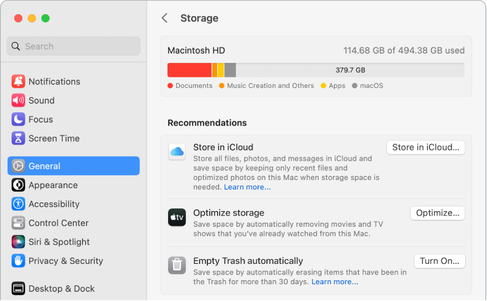 The Recommendations settings for storage, showing the options Store in iCloud, Optimize Storage, and Empty Trash Automatically.