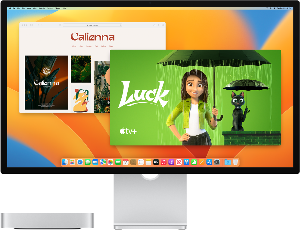 Narabar Få kontrol familie Connect a display to Mac mini – Apple Support (UK)