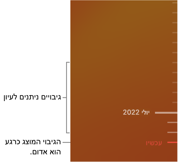 הגיבויים לאורך זמן של Time Machine.