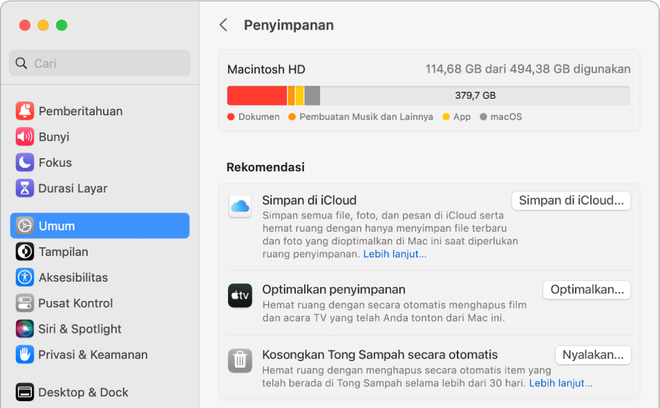 Pengaturan Rekomendasi untuk penyimpanan, menampilkan pilihan Simpan di iCloud, Optimalkan Penyimpanan, dan Kosongkan Tong Sampah Secara Otomatis.