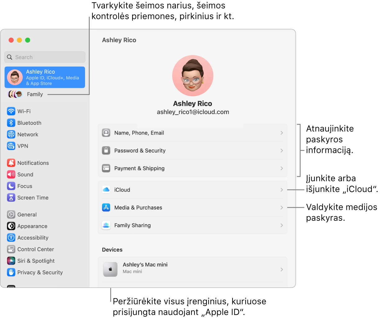 Skiltyje „System Settings“ pateikiami „Apple ID“ nustatymai su šaukiniais, skirtais atnaujinti paskyros informaciją, įjungti arba išjungti „iCloud“ funkcijas, tvarkyti medijos paskyras, ir „Family“, kur galite tvarkyti šeimos narius, tėvų kontrolę, pirkinius ir kt.