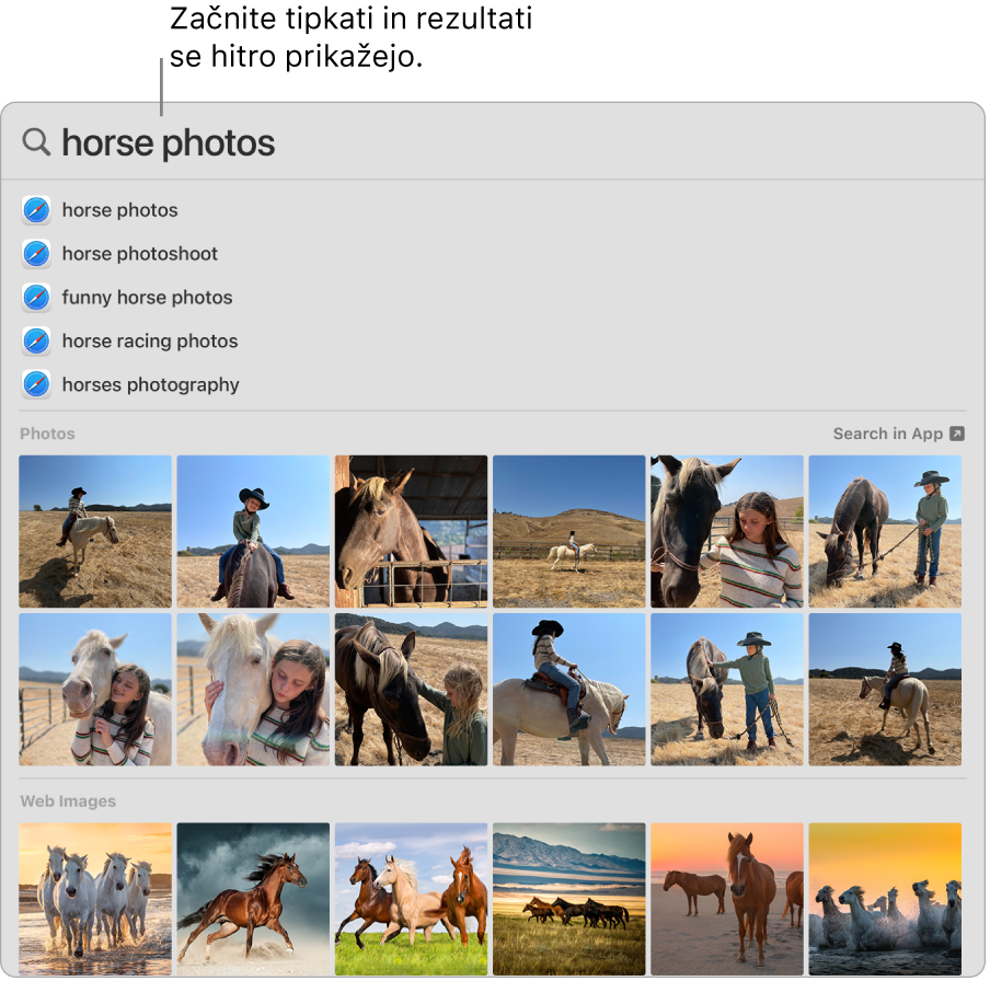 Okno Spotlight s prikazom rezultatov iskanja za »fotografije konj«.