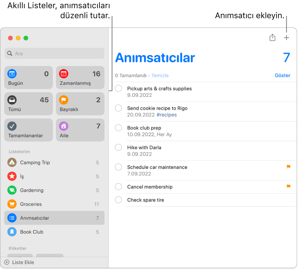 Sol tarafta akıllı listelerin ve onun altında diğer anımsatıcıların ve listelerin göründüğü bir Anımsatıcılar penceresi. İmleç bir anımsatıcıda. Akıllı Listeler’e ve “Yeni anımsatıcı ekle” düğmesine belirtme çizgileri var.