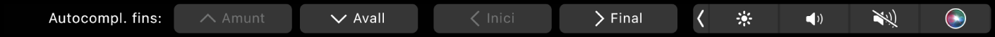 La Touch Bar del Numbers mostrant els botons d’Autocompletar. Aquests botons inclouen els botons superior, inferior, inici i final.