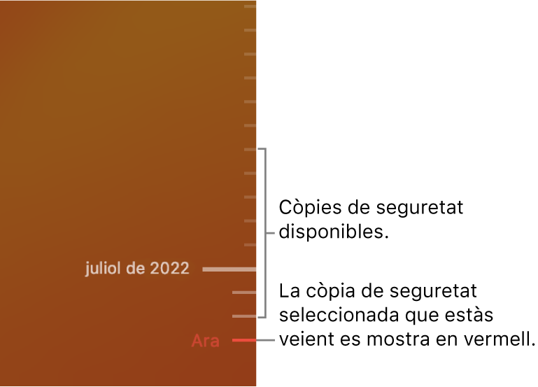 Cronologia de la còpia de seguretat de Time Machine.