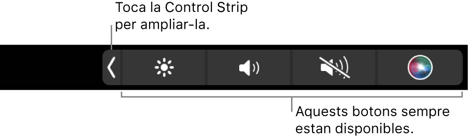 Una imatge parcial de la Touch Bar per omissió amb la Control Strip contreta i els botons que sempre estan disponibles: brillantor, volum i silenciar. Toca el botó d’expandir per mostrar la Control Strip sencera.