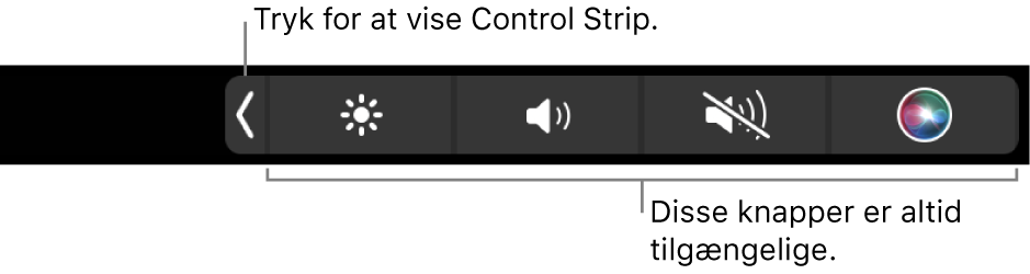 En del af en skærm med den standardindstillede Touch Bar, der viser den skjulte Control Strip med følgende knapper, som altid er tilgængelige: lysstyrke, lydstyrke og lydløs. Tryk på udvidknappen for at se hele Control Strip.