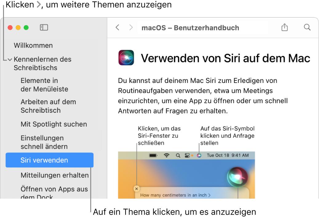 Help Viewer mit Informationen, wie Themen in der Seitenleiste aufgelistet werden und wie der Inhalt eines Themas angezeigt wird