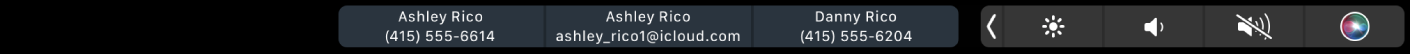 The FaceTime Touch Bar displaying buttons for getting info about a contact.
