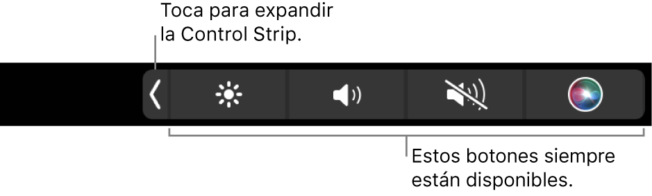 Pantalla parcial de la Touch Bar por omisión, con la Control Strip contraída con los botones que siempre están disponibles: brillo, volumen y silenciar. Pulsa el botón de ampliar para mostrar la Control Strip completa.
