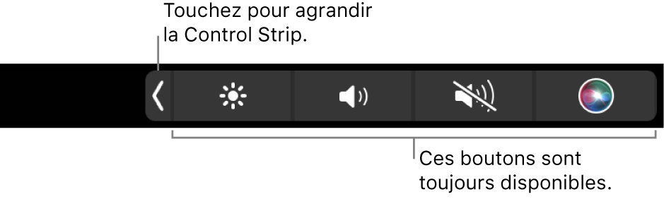 Un écran partiel de la Touch Bar par défaut, affichant la Control Strip réduite avec ses boutons disponibles en toutes circonstances, quelle que soit l’app utilisée : ceux permettant d’ajuster la luminosité, de régler le volume et d’activer ou de désactiver le son. Touchez le bouton de développement pour afficher toute la <NoBreak change_bar="mark">Control Strip</NoBreak>.
