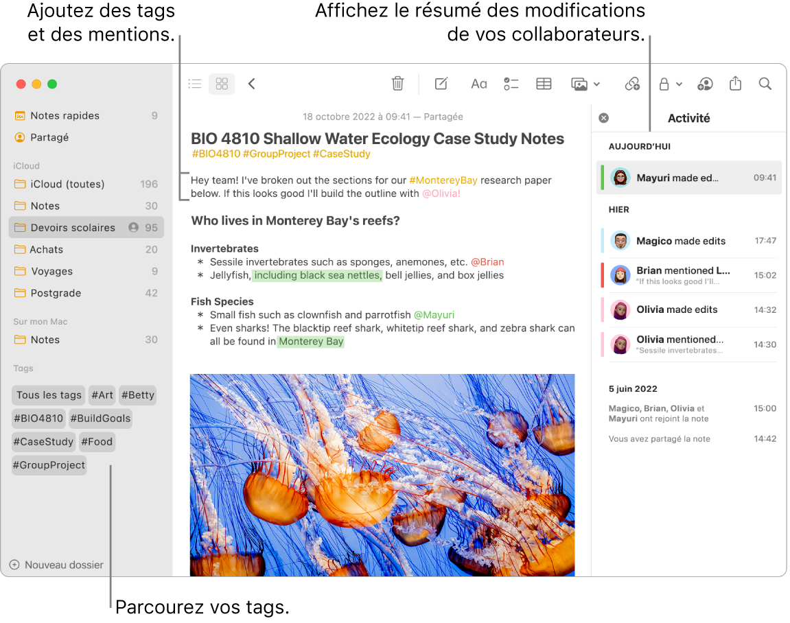 Une fenêtre Notes en présentation par galerie avec une légende pour les tags dans la barre latérale. Dans la note principale se trouve une légende pour un tag et une mention. Une liste d’activité apparaît sur la droite avec une légende pour afficher un résumé des mises à jour.
