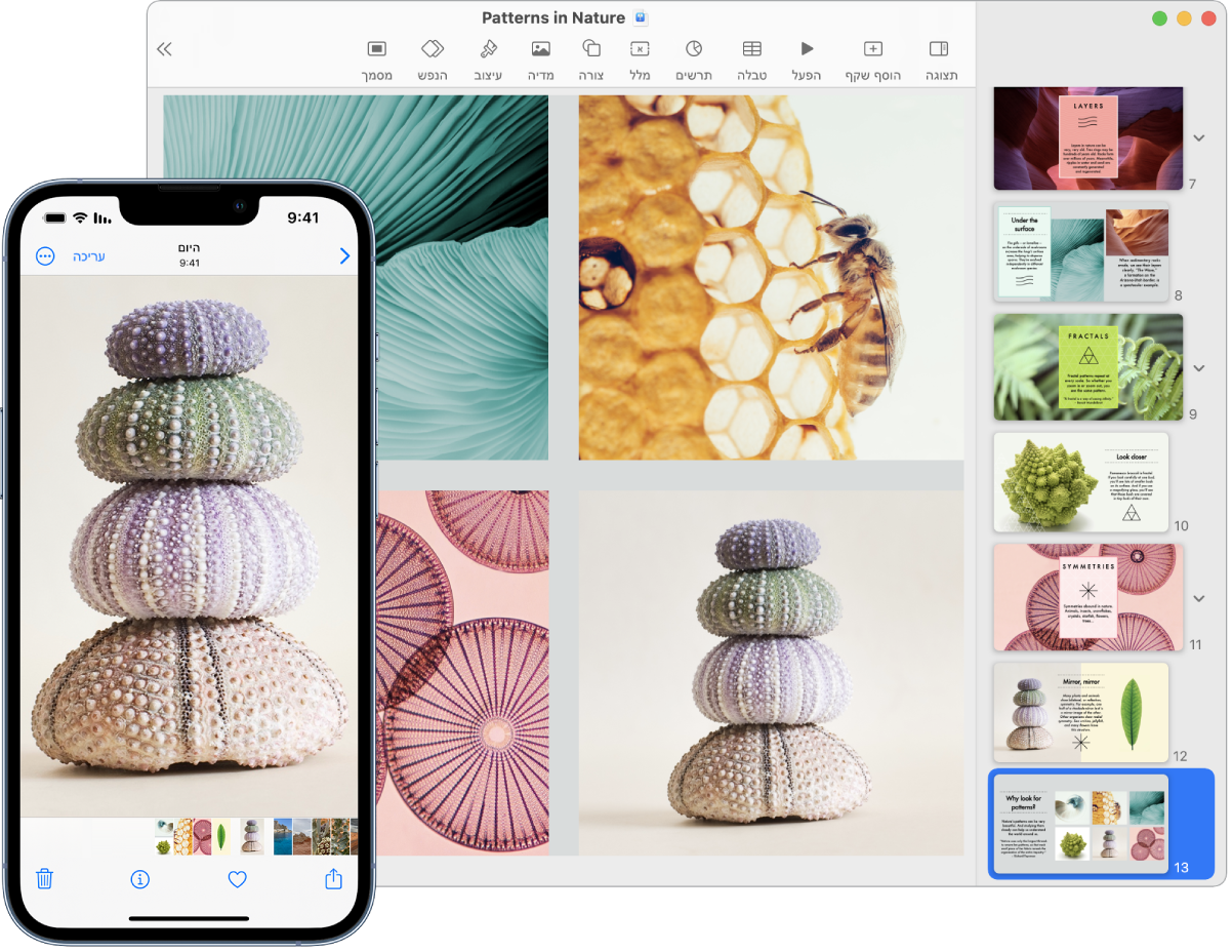מכשיר iPhone מציג תמונה, לצד Mac המציג את אותה תמונה לאחר שהודבקה במסמך Pages.