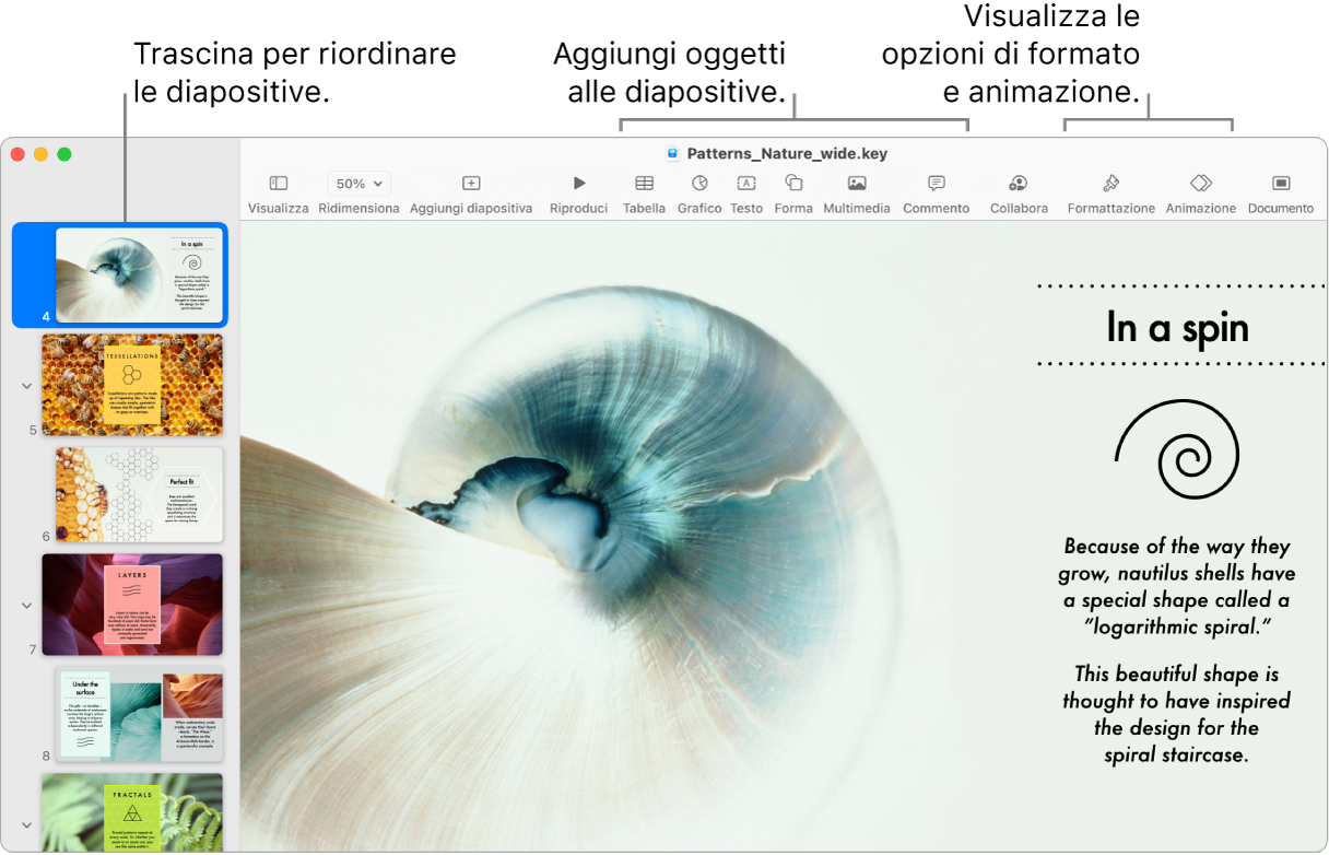 Una finestra di Keynote che mostra il navigatore diapositive a sinistra e il modo in cui riordinare le diapositive, la barra degli strumenti e i relativi strumenti di modifica in alto, il pulsante Collabora nella parte superiore destra e i pulsanti Formattazione e Animazione a destra.