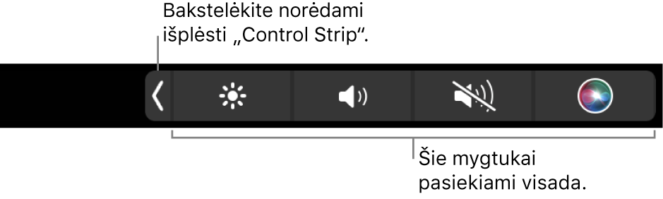 Numatytosios juostos „Touch Bar“ ekrano dalis, kurioje rodoma sutraukta juosta „Control Strip“ su mygtukais, kurie visada prieinami: ryškumo, garsumo ir nutildymo. Palieskite išplėtimo mygtuką, kad rodytumėte visą juostą „Control Strip“.