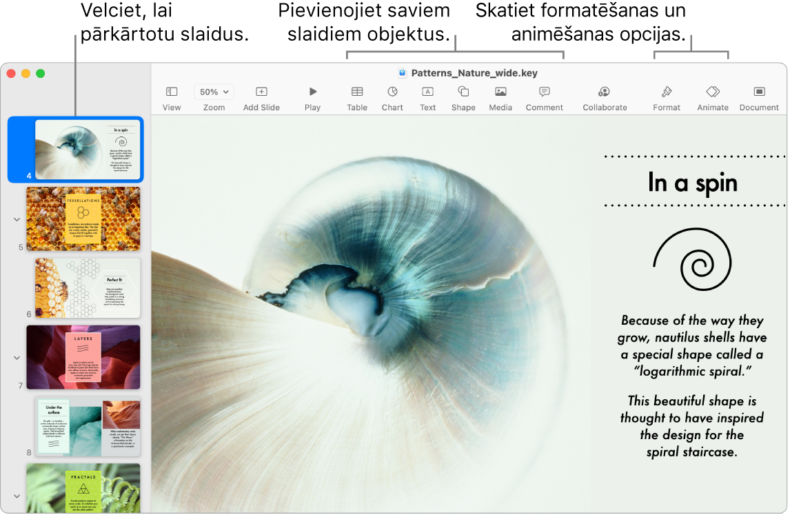 Lietotnes Keynote loga kreisajā malā redzams slaidu navigators un informācija par slaidu pārkārtošanu; rīkjosla un tās rediģēšanas rīki ir loga augšā, poga Collaborate augšējā labajā stūrī un pogas Format un Animate — labajā malā.