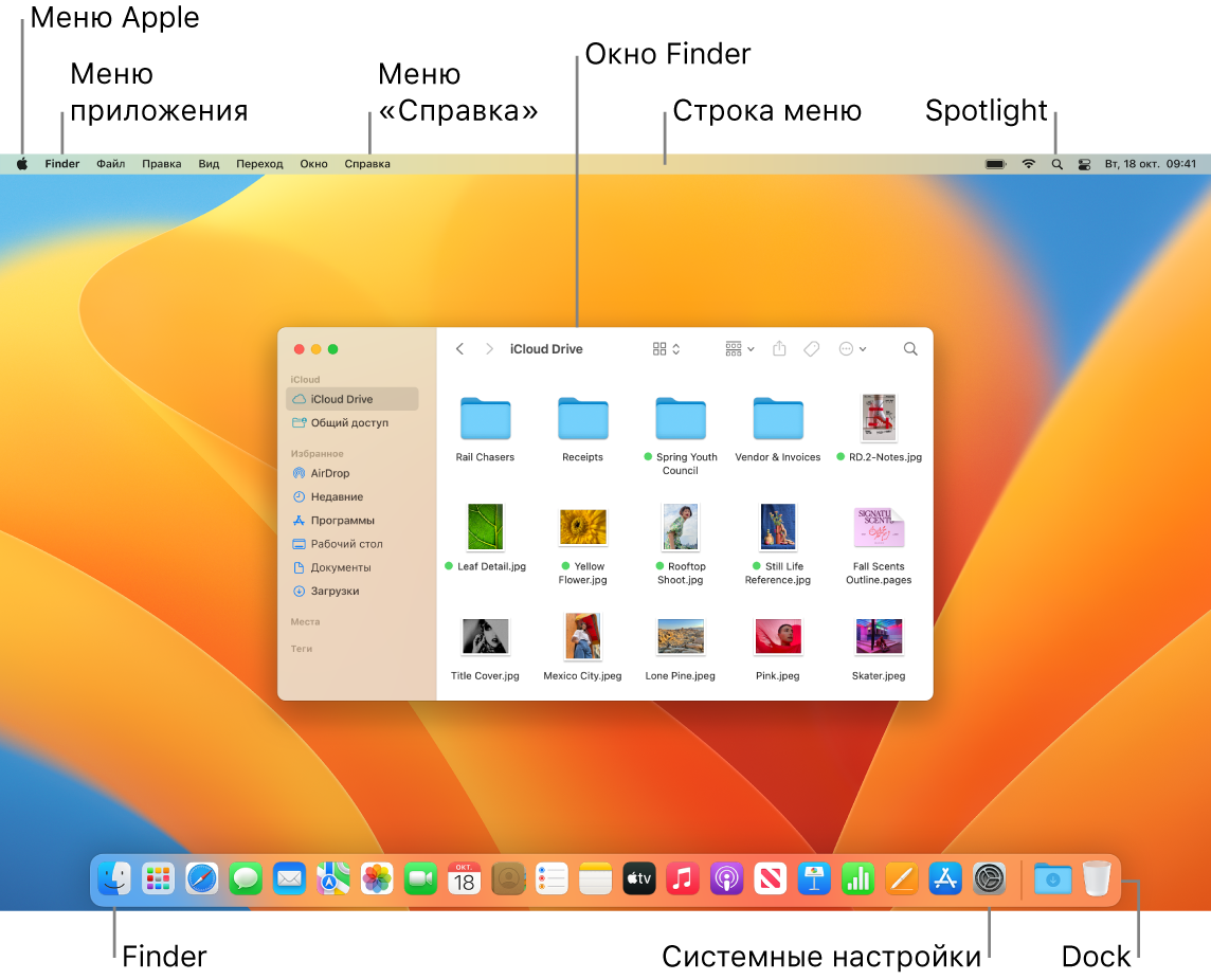 На экране Mac показаны меню Apple, меню приложения, меню «Справка», окно Finder, строка меню, значок Spotlight, значок Finder, значок Системных настроек и панель Dock.