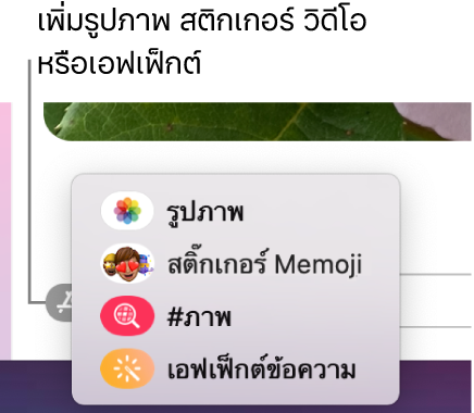 เมนูแอปที่มีตัวเลือกสำหรับการแสดงรูปภาพ, สติกเกอร์ Memoji, GIF และเอฟเฟ็กต์ข้อความ