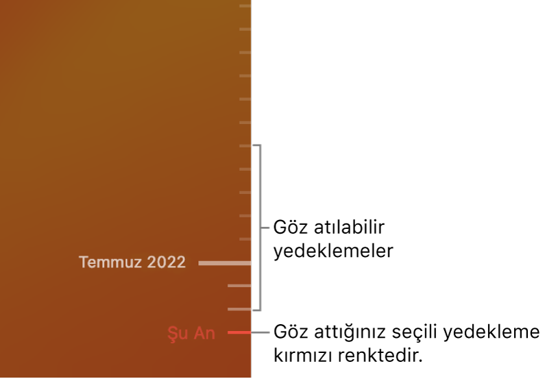 Time Machine yedekleme zaman ekseni.